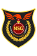 NSG Logo
